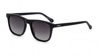 WE 3102 Black Polarized